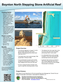 Boynton North Stepping Stone Artificial Reef
