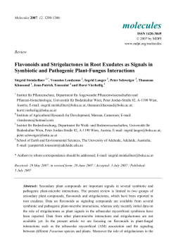 Full-Text PDF