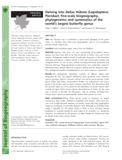Delving into Delias Hbner - Molecular Ecology Lab at Flinders