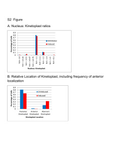 S2 Figure A. Nucleus: Kinetoplast ratios B. Relative Location
