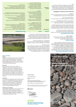 Gravel Working in Scottish Salmon Rivers
