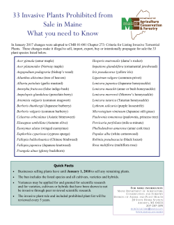 33 terrestrial plant species