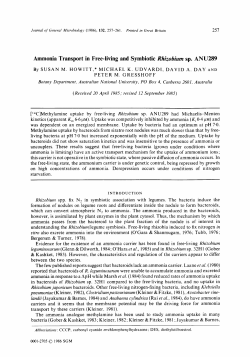 Ammonia Transport in Free-living and Symbiotic