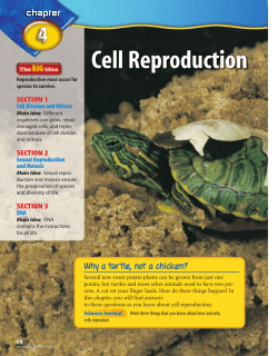 Cell Reproduction