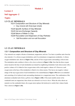 1.3 clay minerals