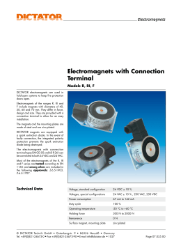 Electromagnets with Connection Terminal