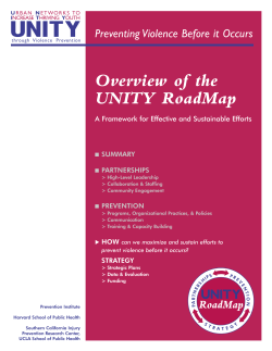 UNITY RoadMap: Strategy