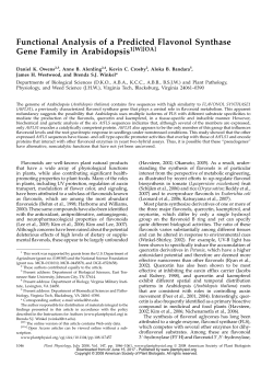 Functional Analysis of a Predicted Flavonol