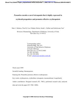 Penumbra encodes a novel tetraspanin that is highly