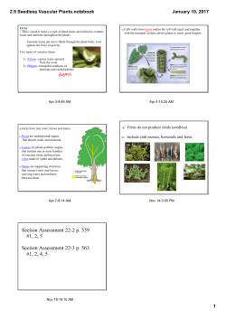 2.9 Seedless Vascular Plants.notebook