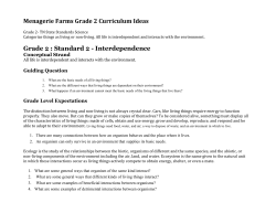 Grade 2 Curriculum Ideas TN