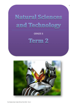 grade 6 - Tom Newby School