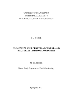 ammonium sources for archaeal and bacterial ammonia oxidisers
