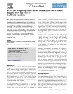 Force and length regulation in the microtubule cytoskeleton: lessons
