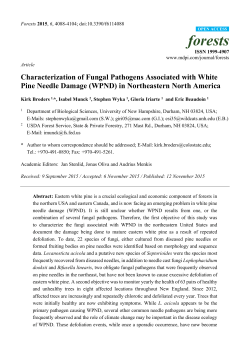 Characterization of Fungal Pathogens Associated with White Pine