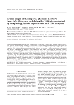 Hybrid origin of the imperial pheasant Lophura imperialis