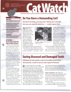 Do You Have a Demanding Cat? Saving