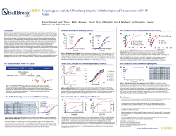 Targeting Low Activity ATP-utilizing Enzymes with
