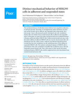 Distinct mechanical behavior of HEK293 cells in adherent
