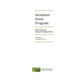 Incubator Farm Program Report