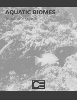 29770 Aquatic 2004 TG