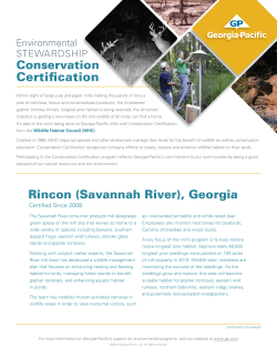 Rincon (Savannah River) - Georgia