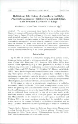 Habitat and life history of a northern caddisfly