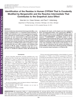 Identification of the Residue in Human CYP3A4 That Is Covalently