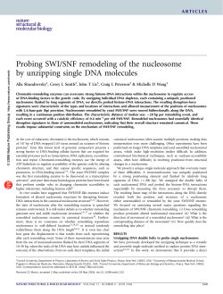 Probing SWI/SNF remodeling of the nucleosome by unzipping