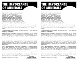 a pdf brochure on the importance of minerals.