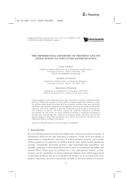 THE DIFFERENTIAL GEOMETRY OF PROTEINS AND ITS