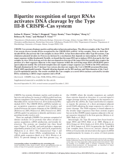 Bipartite recognition of target RNAs activates DNA cleavage by the