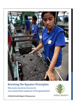 Revising the Equator Principles