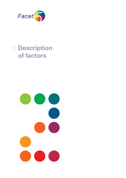 Description of Facet5 Factors