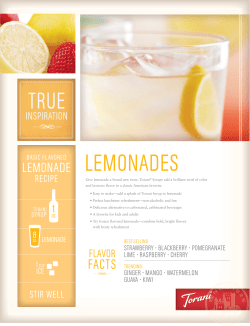 Lemonade - Barista Pro Shop