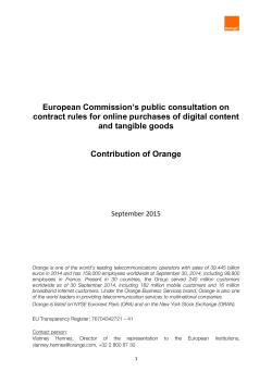 European Commission`s public consultation on