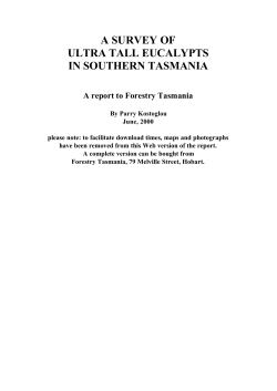 a survey of ultra tall eucalypts in southern tasmania