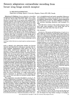 Sensory adaptation: extracellular recording from locust wing
