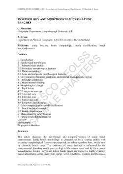 Morphology and Morphodynamics of Sandy Beaches