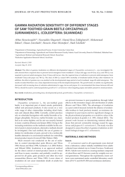 gamma radiation sensitivity of different stages of saw