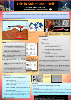 Diapositiva 1