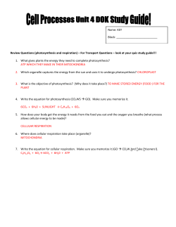Review Questions (photosynthesis and respiration)