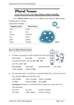 Plural Nouns - WordPress.com