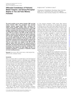 as a PDF