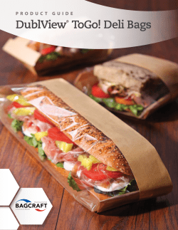 Dubl View&reg; ToGo!