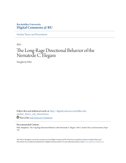 The Long-Rage Directional Behavior of the Nematode C. Elegans