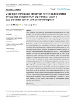 Does the morphological fit between flowers and pollinators affect