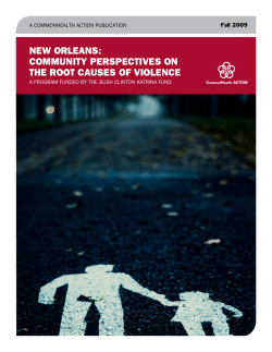 new orleans: community perspectives on the root causes of violence