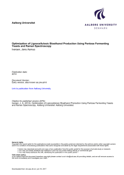 Jens Asmus Iversen PhD thesis_ print - VBN