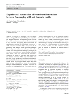 Experimental examination of behavioural interactions between free
